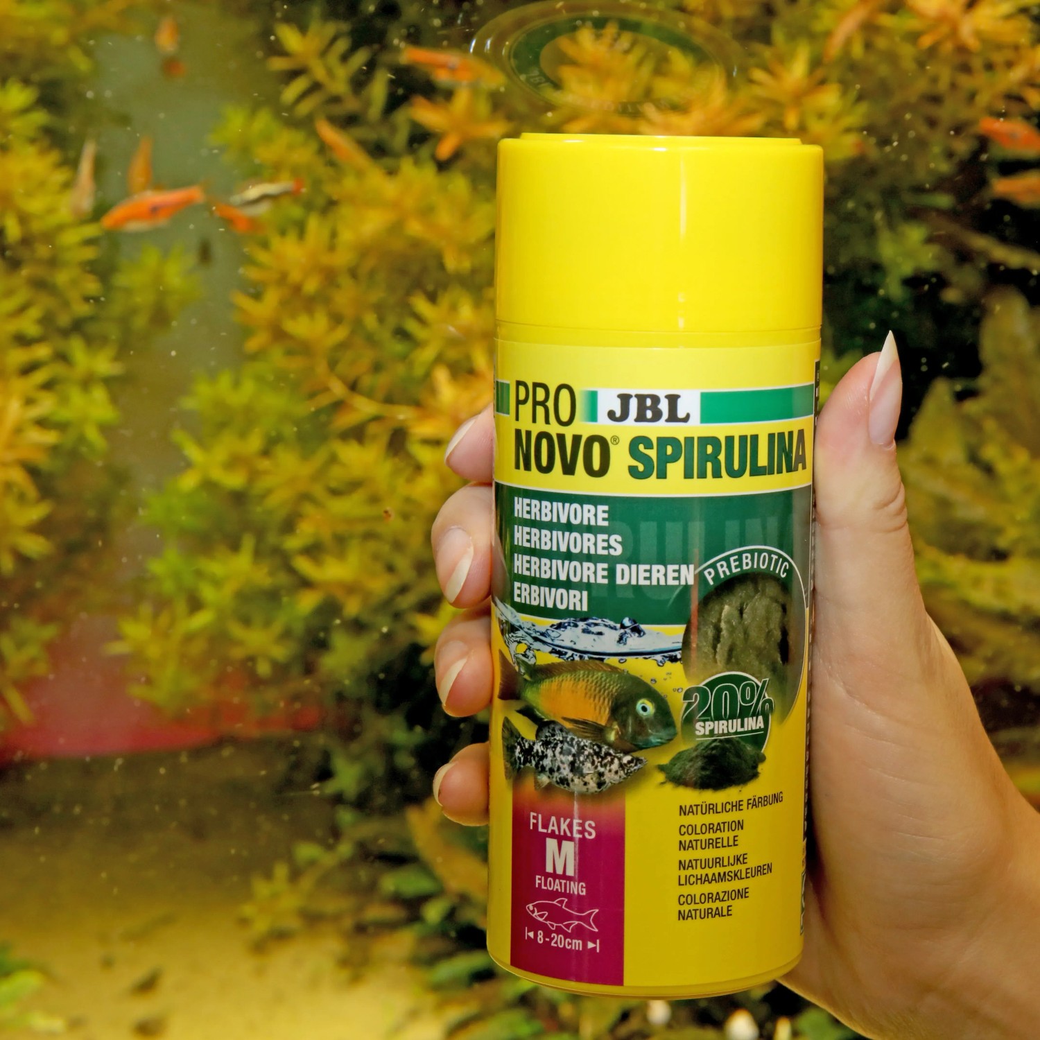 JBL Fischfutter Flocken Pronovo Spirulina M 250 ml kaufen bei OBI