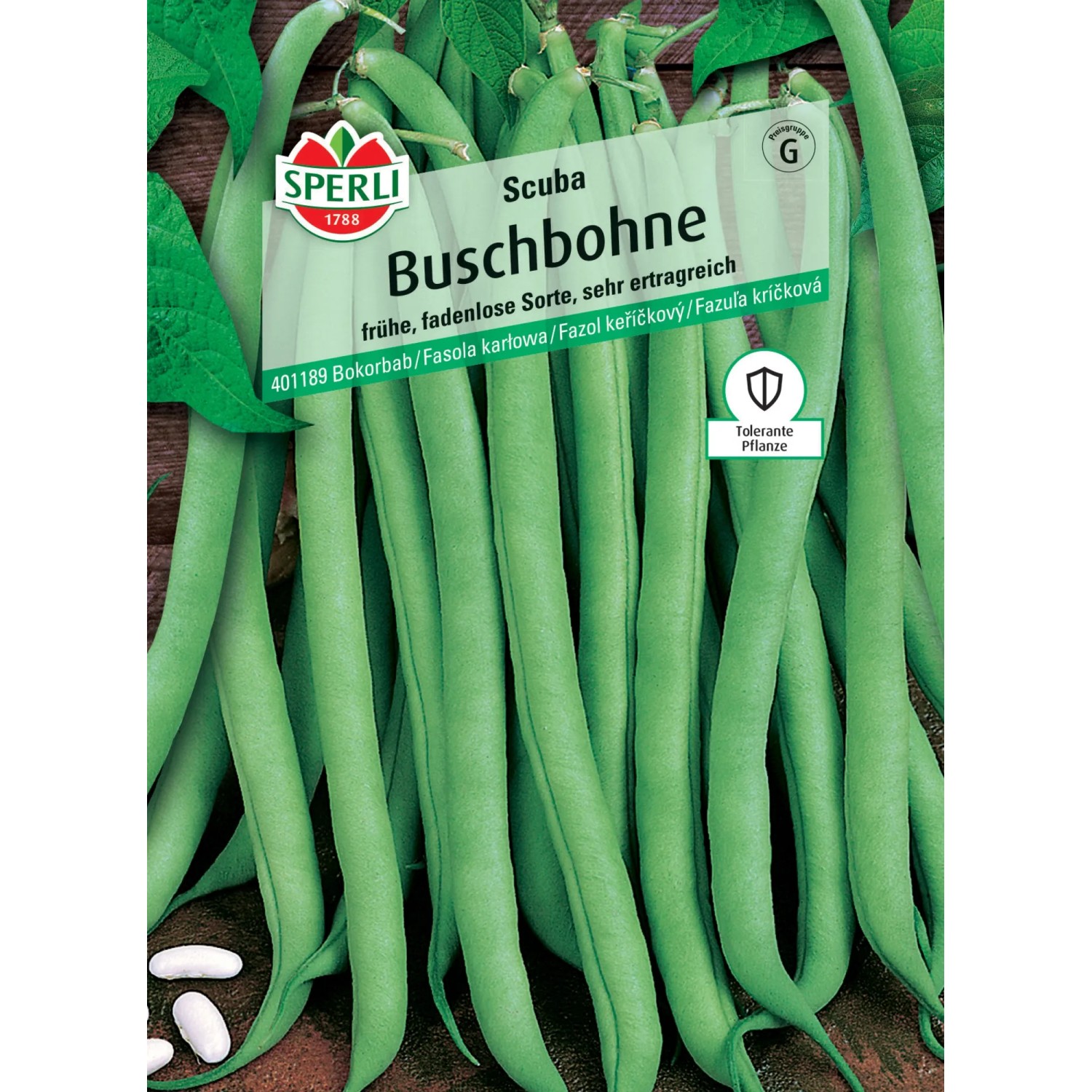 Sperli Buschbohne "Scuba"