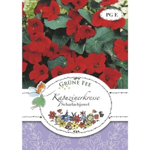 Grüne Fee Kapuzinerkresse Scharlachjuwel Blumensamen. Samenpackung mit leuchtend roten Blüten und grünen Blättern.