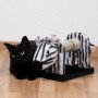 Schwarze Katze liegt vor Dobar Kratztier Zebra. Katzenbürste mit Sisal-Kratzrolle.