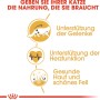 Grafik: Royal Canin Maine Coon Adult Katzenfutter – Vorteile für Gelenke, Herzfunktion und Fell.