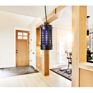 Windhager Fluginsekten-Schutzlampe 3 Star, 4W, hängend im Innenraum.