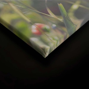 Leinwandbild mit Mohnblumen im Landhausstil. Deko Wandbild für Wohnzimmer, Küche und Flur.