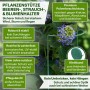 Grüne Metall-Strauchstütze stützt blühende Hortensie. Inkl. Klettband. Robuste Rankhilfe für Sträucher, Stauden, Rosen im Garten.