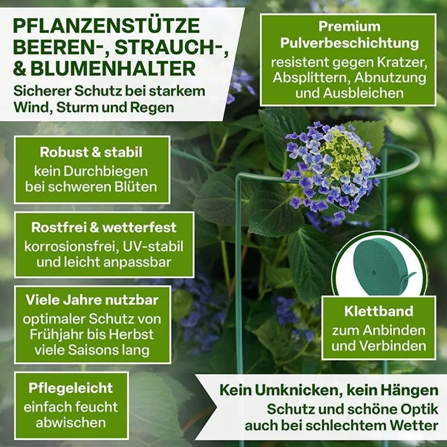 Grüne Metall-Strauchstütze stützt blühende Hortensie. Inkl. Klettband. Robuste Rankhilfe für Sträucher, Stauden, Rosen im Garten.