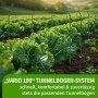 Grüne Pflanztunnel Bögen über jungen Pflanzen im Gartenbeet. Ideal für Frühbeet und Pflanzenschutz.