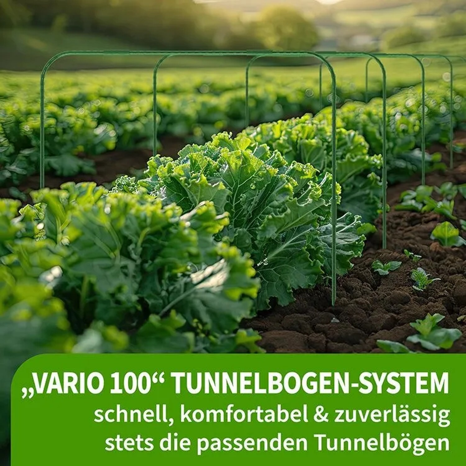 Grüne Pflanztunnel Bögen über jungen Pflanzen im Gartenbeet. Ideal für Frühbeet und Pflanzenschutz.