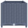 Blaugraues vidaXL Hochbeet (120x40x38 cm) aus Polypropylen mit Rattan-Optik.