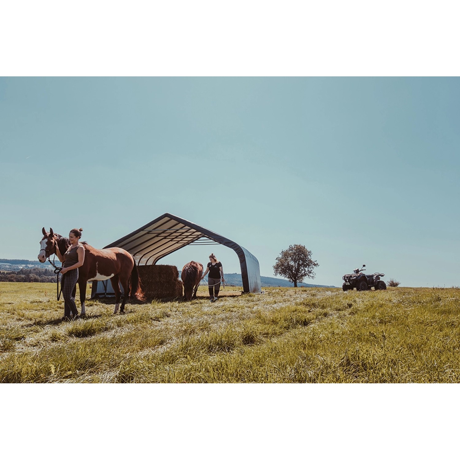 ShelterLogic Run-In-Shed Weidezelt mit Pferden und Heu auf einer Weide.