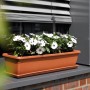 Anthrazitfarbener Florus Blumenkasten Mediterran 60 cm mit Bewässerung und weißen Margeriten.