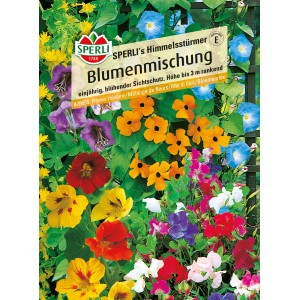 Sperli Blumenmischung Himmelsstürmer, mehrfarbig. Blühende Mischung für Sichtschutz.