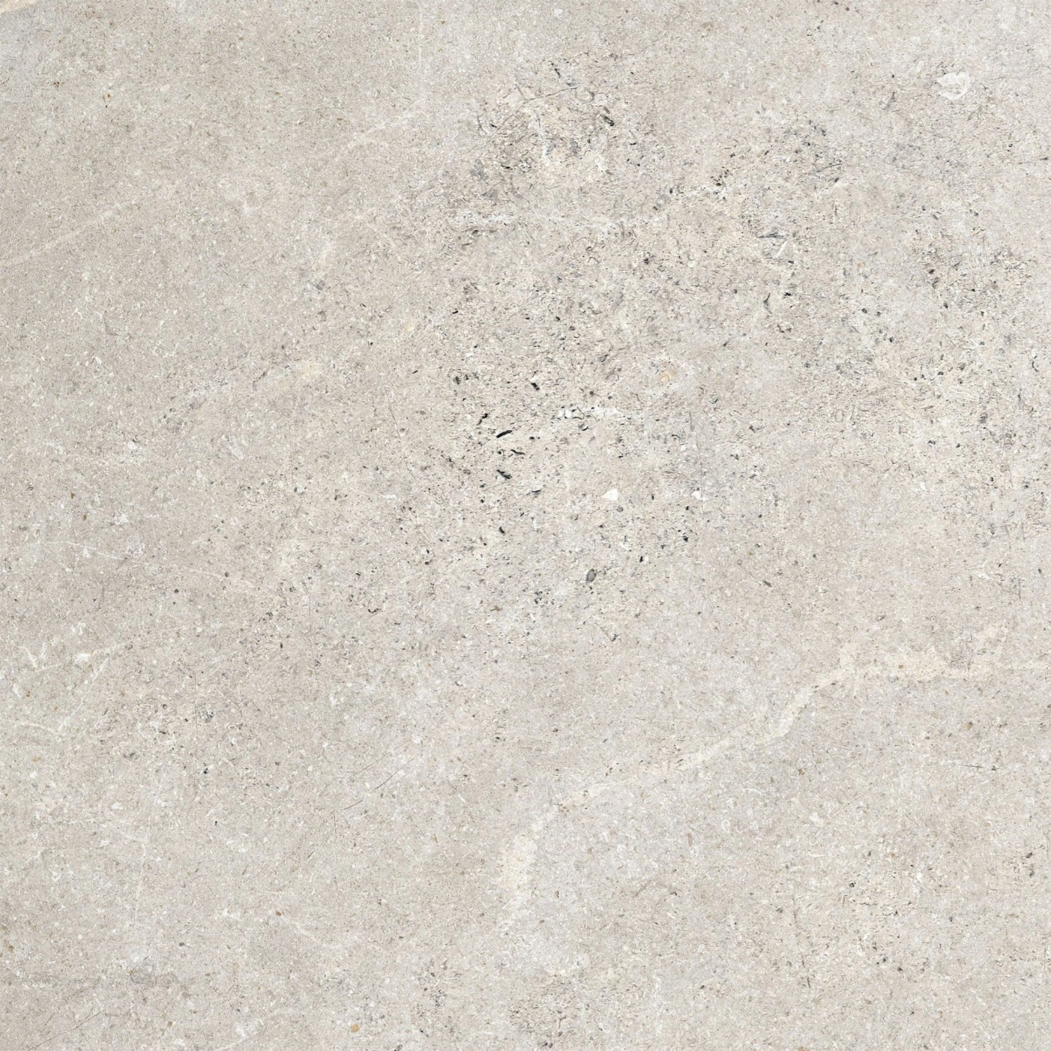 Bodenfliese Feinsteinzeug Kaspio Grau Glasiert Matt 59,8 cm x 59,8 cm