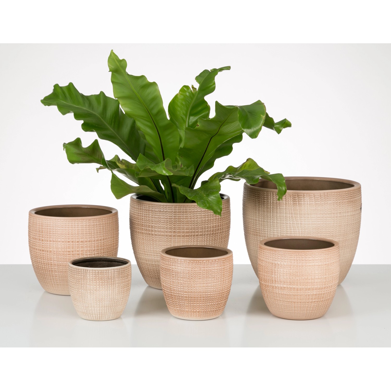 Scheurich Übertopf 866 Canela, verschiedene Größen der Keramik-Übertöpfe mit Textur.