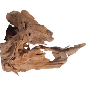 Sandgestrahlte Mangrove Dekowurzel für Aquarien, naturnahe Gestaltung.