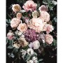 Komar Wandbild Charming Bouquet, 50x70 cm, Blumenstrauß auf dunklem Grund.