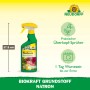 Grüne Neudorff BioKraft Natron 500ml Sprühflasche, 27,5 cm hoch, mit gelbem Überkopf-Sprüher. Pflanzenstärkungsmittel gegen Mehltau.
