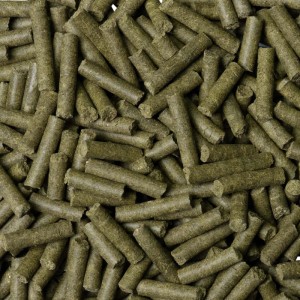 Dennerle Shrimp King Cambarellus Garnelenfutter, grüne Futtersticks für Zwergkrebse.