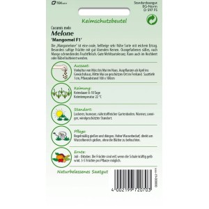 SAMEN PFANN Melone Mangomel F1