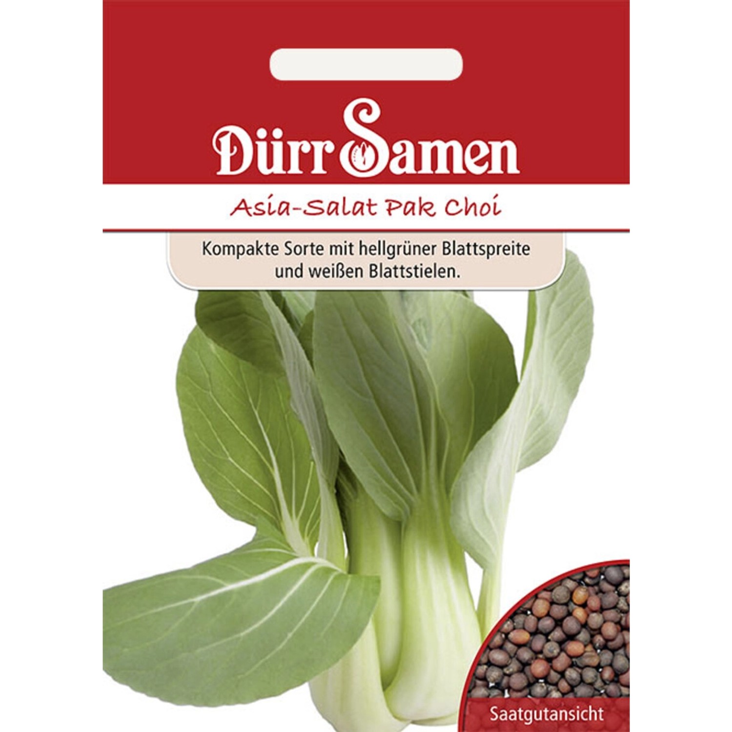 Dürr Samen Asia-Salat Pak Choi Saatgut günstig online kaufen