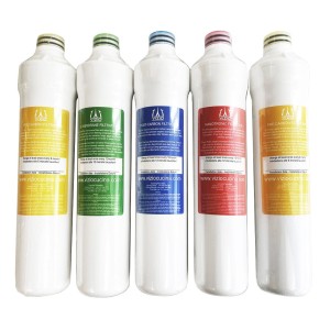 VIZIO Ersatzfilter Set für 1 Jahr, 5 Kartuschen für VZFILT0400 Wasserfilter.