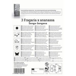 Kiepenkerl Erdbeeren Senga-Sengana Fragaria x anan.