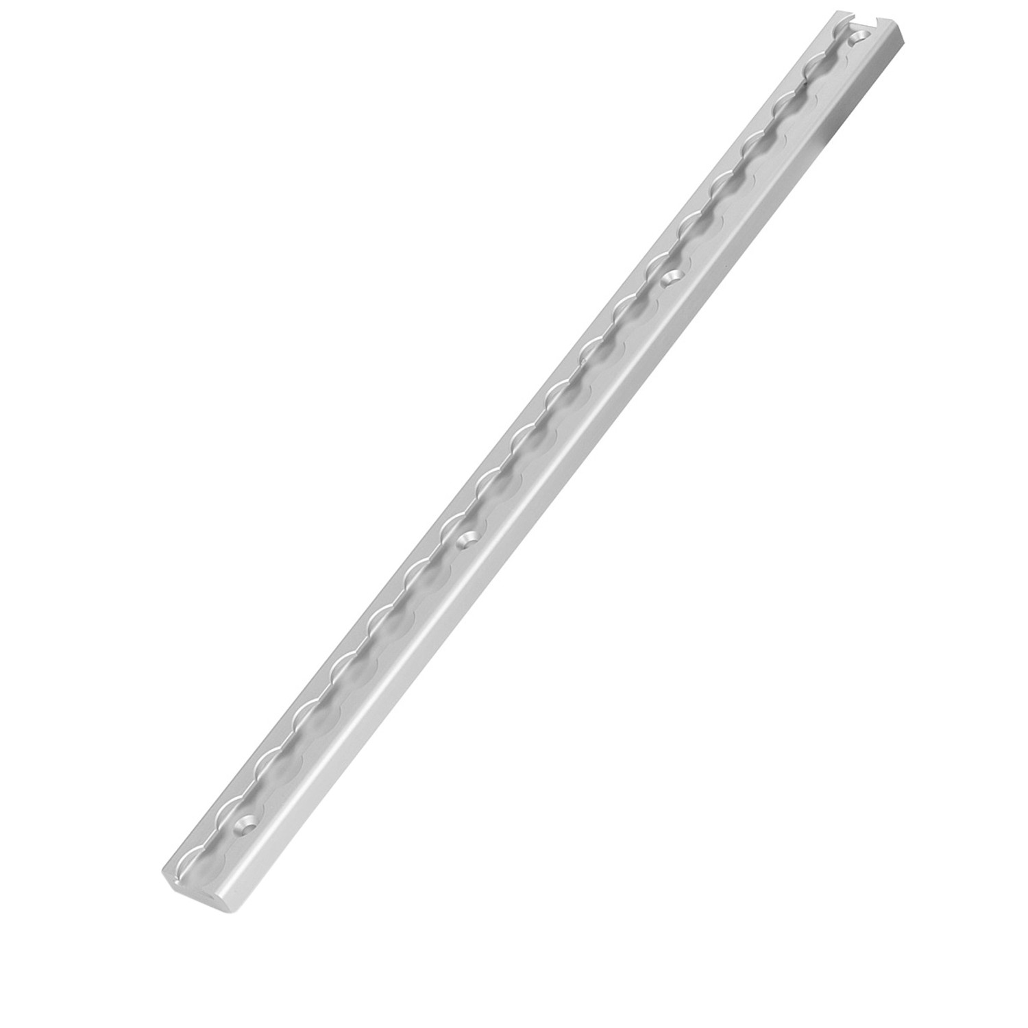 STAHLWERK Zurrschiene 50 CM Airlineschiene Befestigungsschiene aus Aluminium