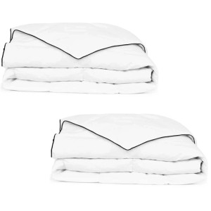 vidaXL Winter-Daunendecke 2 Stk 150x200 cm 132888