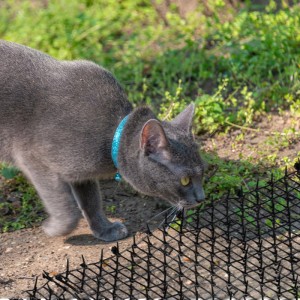 Katze vor schwarzer Katzenabwehrmatte mit Dornen. Gartenhilfsmittel zum Schutz vor Tieren.