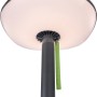 Lutec LED Solar Stehleuchte Poppy, anthrazit-grün, dimmbar, mit Bluetooth Lautsprecher.