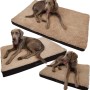 Petsation BENJI orthopädisches Hundebett (72 cm) mit Hund auf Liegefläche.
