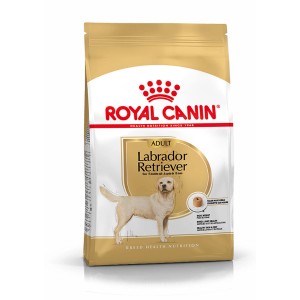 Royal Canin Labrador Adult Trockenfutter, 12kg Packung für Labrador Retriever.