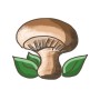 Illustration eines Pilzes mit grünen Blättern, passend zum Bio-Pilzkraut Rungia.
