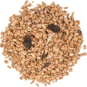 Fidelio Fett- und Weichfutter, 4,5 kg, Wildvogelfutter mit Getreide, Nüssen und Rosinen.