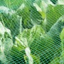 Grünes Aquagart Teichnetz als Laubschutz über Pflanzen im Garten.