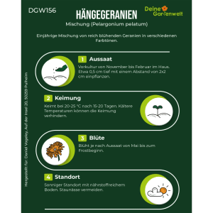Infografik: Deine Gartenwelt Hängegeranien Mischung Samen. Anleitung für Aussaat, Keimung, Blüte, Standort.