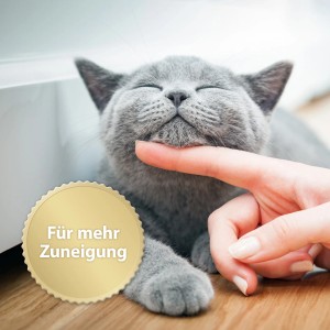 Zutrauliche graue Katze genießt Zuwendung. Felisept Home Comfort für Katzen.