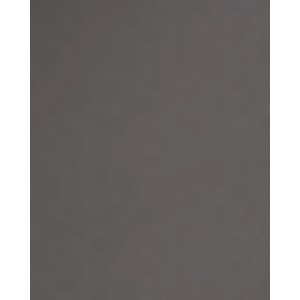 Graues WALLFACE Dekorpaneel in Lederoptik, 260x100 cm. Wandpaneel für Innenräume.