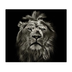 Banjado Herdabdeckplatte aus Glas mit Löwen-Motiv, 60x52 cm, auch als Schneidebrett nutzbar.