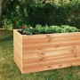 Rechteckiges Hochbeet aus Douglasie-Holz (72,5x150x70cm) mit Bepflanzung im Garten.