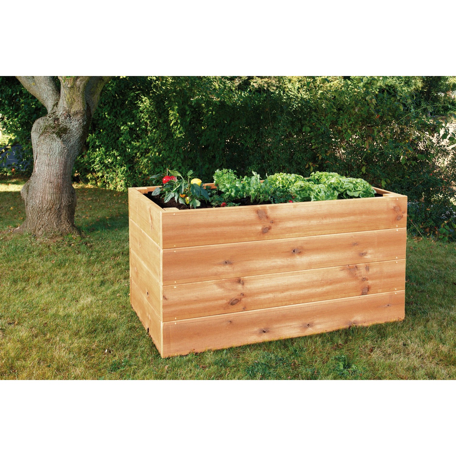 Rechteckiges Hochbeet aus Douglasie-Holz (72,5x150x70cm) mit Bepflanzung im Garten.