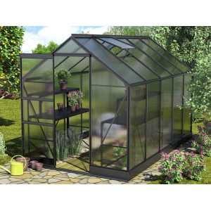 Schwarzes Vitavia Gewächshaus Apollo 6200 mit geöffneter Tür, Regalen und Pflanzen.