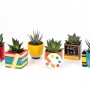 Dekorative Sukkulenten in bunten Keramiktöpfen (Ø 6 cm) mit Schulmotiven. Ideal als Zimmerpflanze oder Geschenk zum Schulstart.