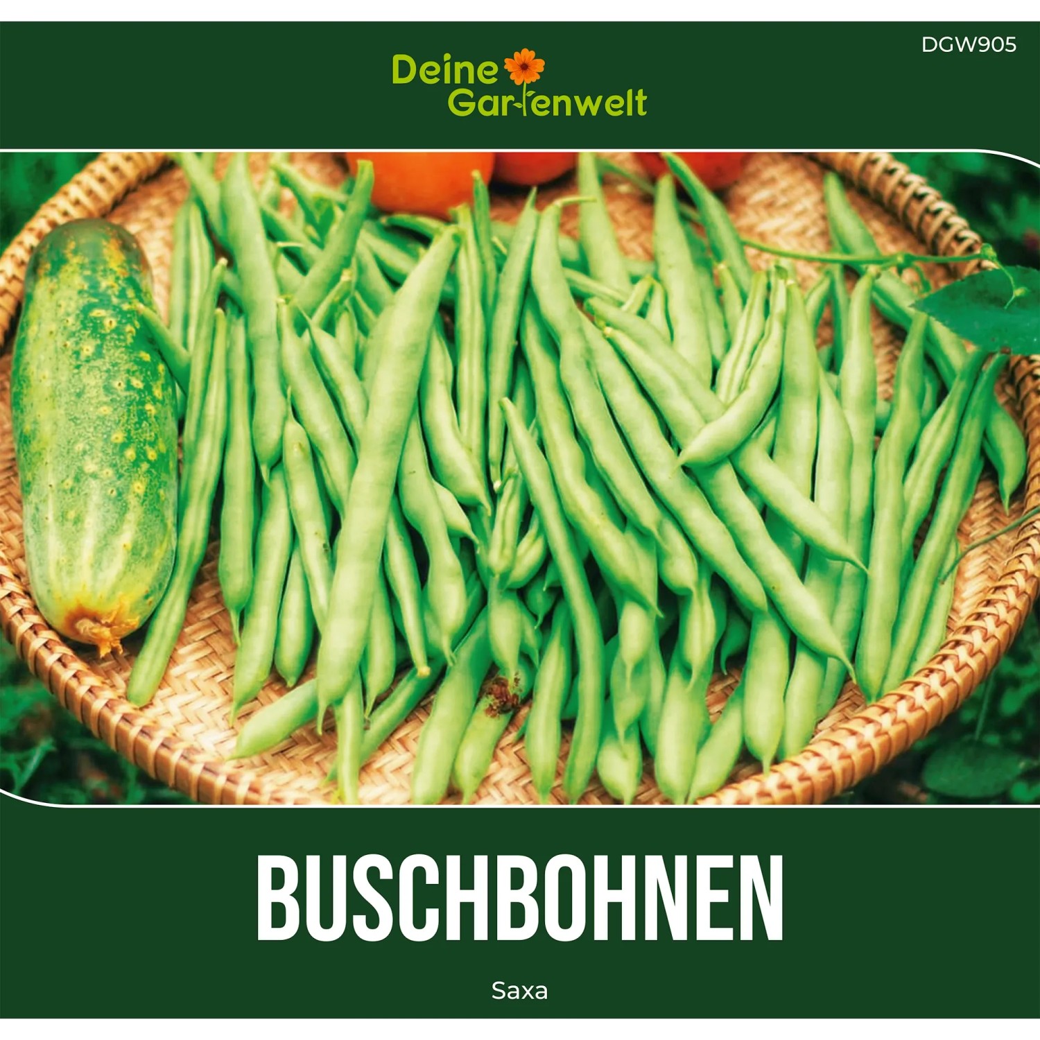 Deine Gartenwelt Buschbohne Saxa Samen