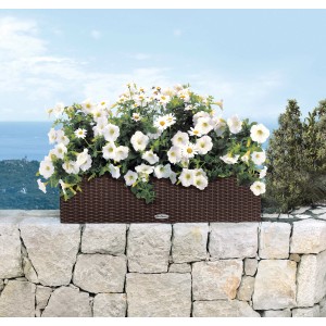 Lechuza Balconera Cottage 80 Mokka Blumenkasten (80x19cm) mit weißen Blumen auf einer Steinmauer.