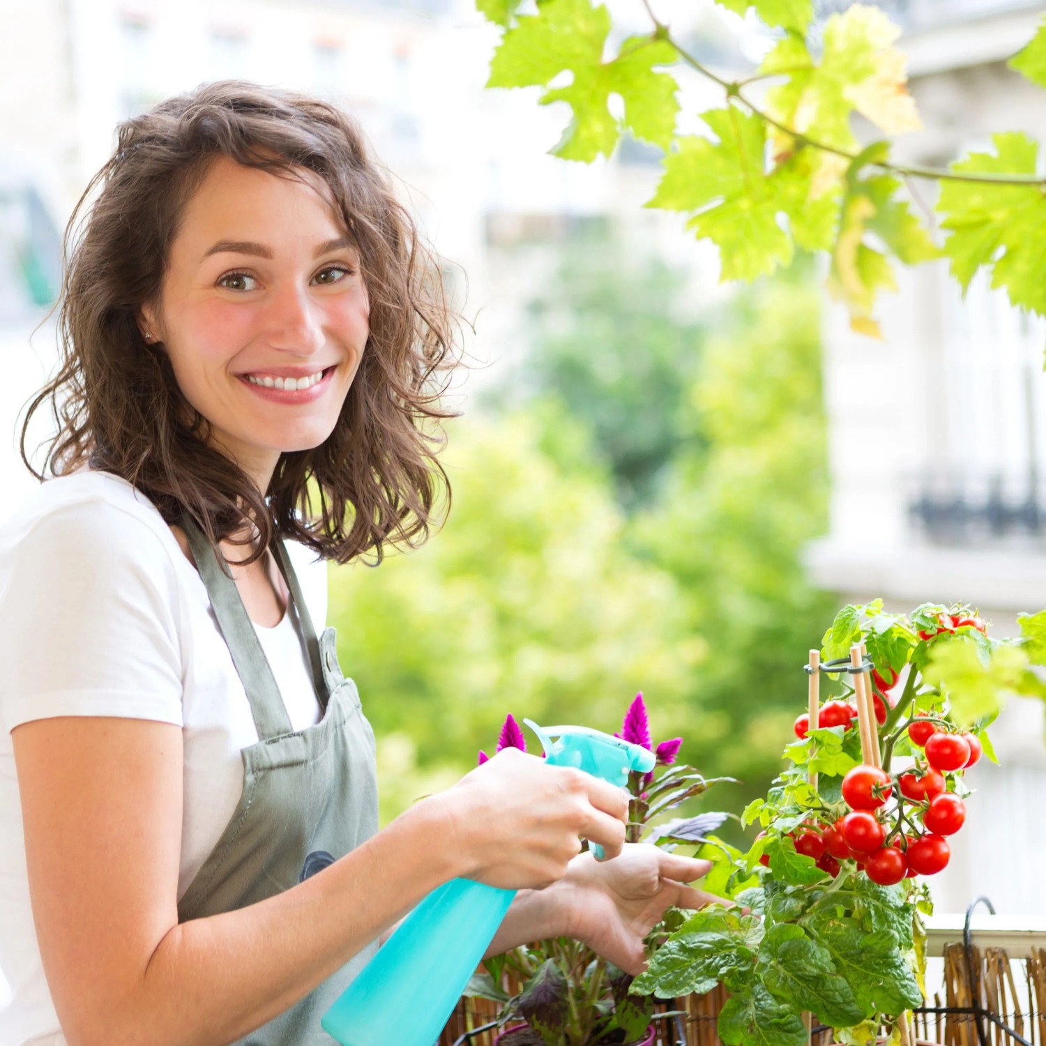 Lächelnde Frau gießt Tomatenpflanzen auf Balkon mit Sprühflasche. Ideal für Garten & Anzucht von Gewächsen.