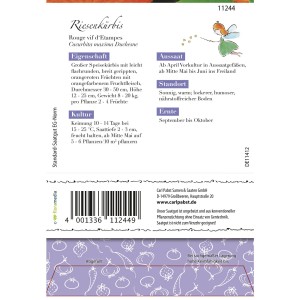 Saatguttüte für Rouge Vif D´Etampes Riesenkürbis, orangefarbene Früchte.