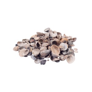 Bunte Muschel-Schalen als Zierkies, 20 l Sack. Dekorative Gestaltung für Haus und Garten.