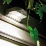Weiße Ledvance LED Außenwandleuchte mit Bewegungsmelder an einer Wand.