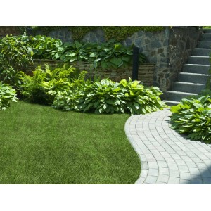 Verlegter grüner Primaflor Kunstrasen Jazz im Garten mit Steinweg und Bepflanzung.