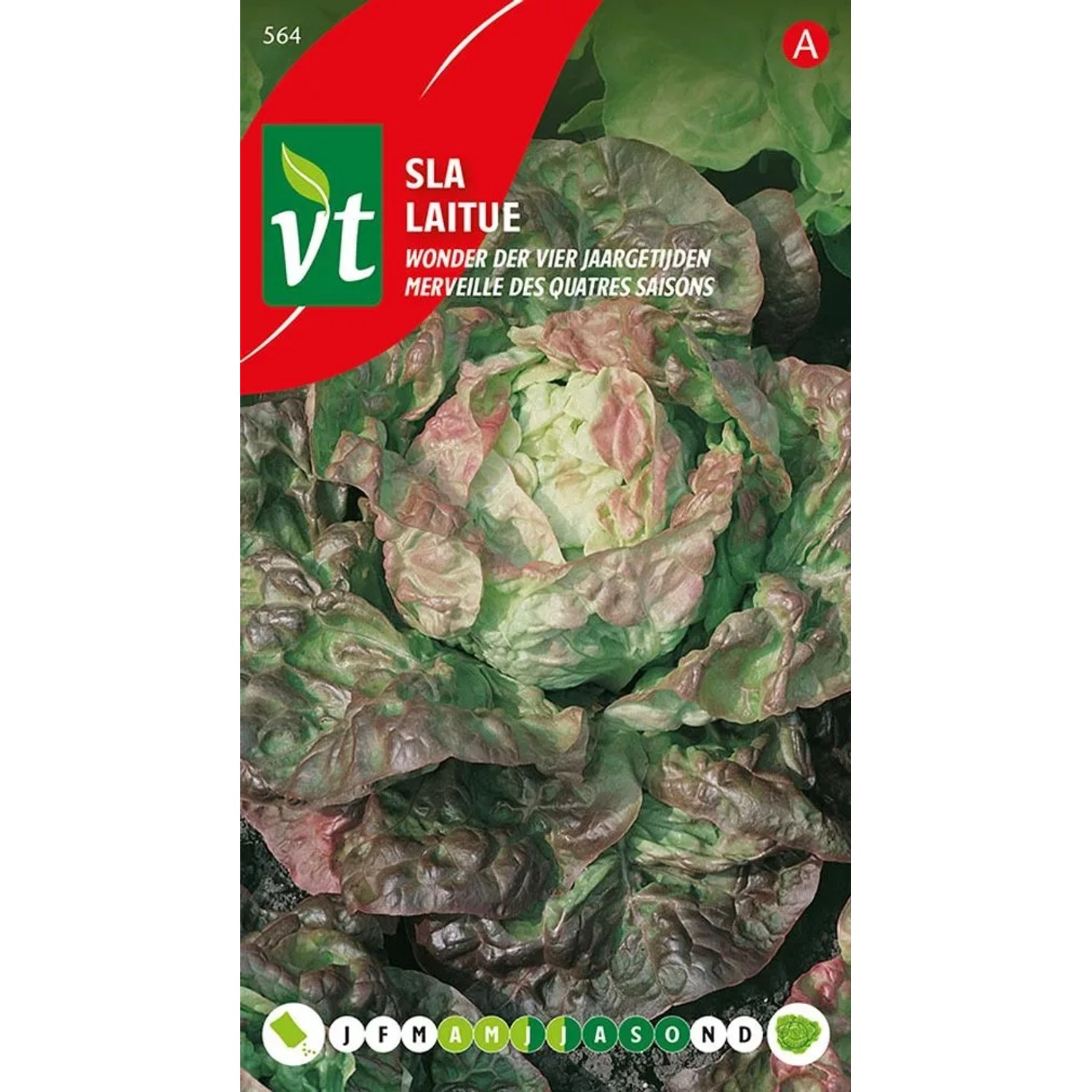 Kopfsalat 'Miracle of Four Seasons' Saatgut ca. 3 g Ertragreich
